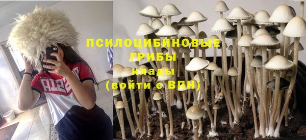 кокс Арсеньев