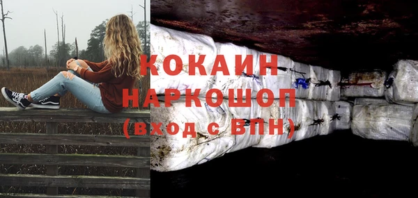 кокс Арсеньев