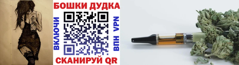 Конопля план  Южа 